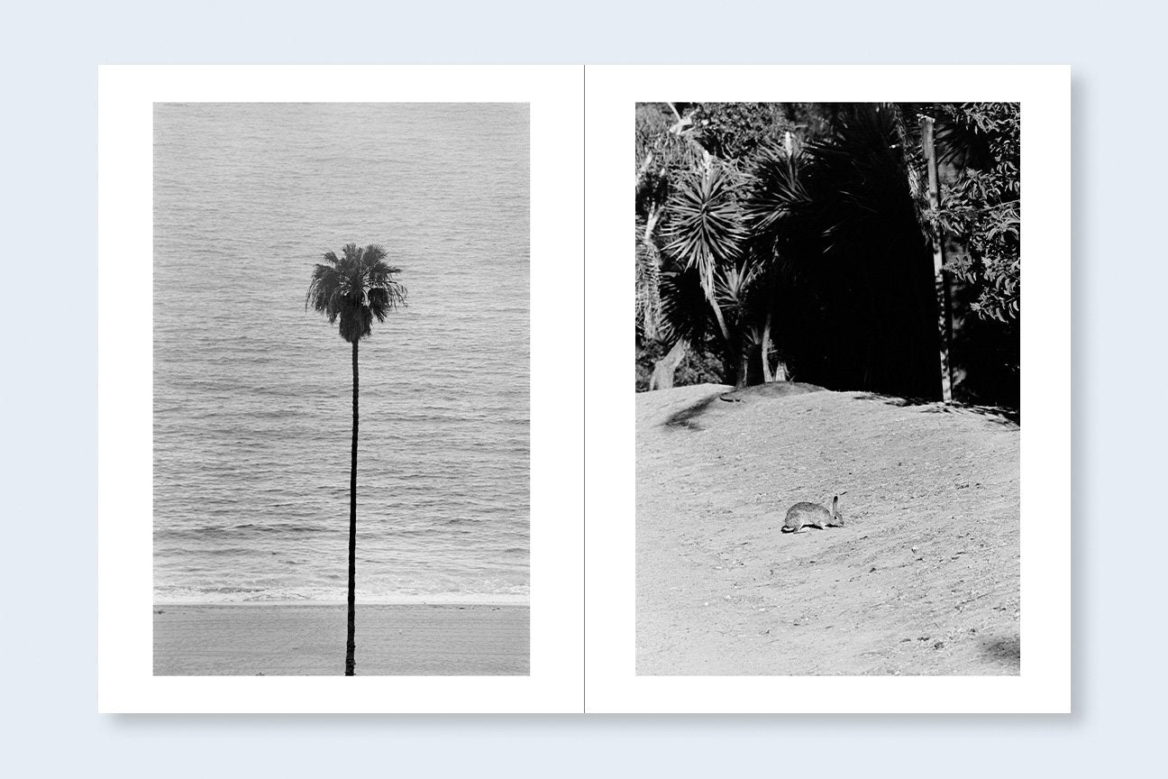 Avo Tavitian & Daido Moriyama: Los Angeles x Shinjuku