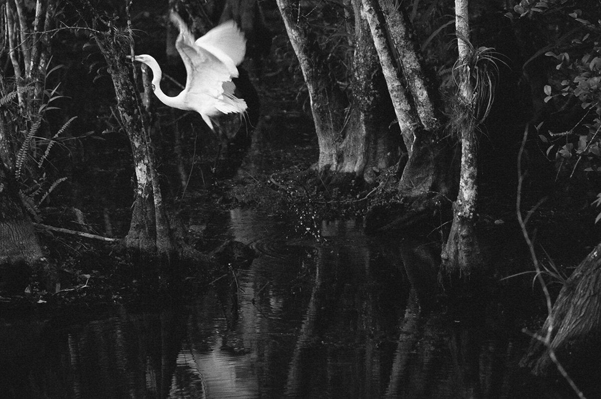 Jonathan Levitt: Echo Mask
