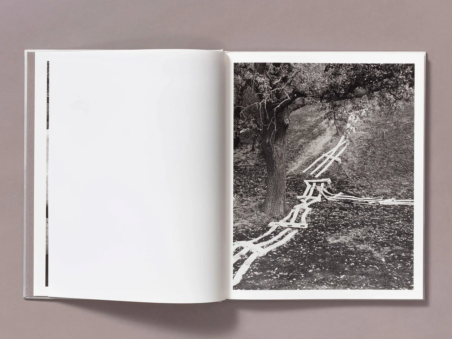 Ian Bates: The Weight of Ash
