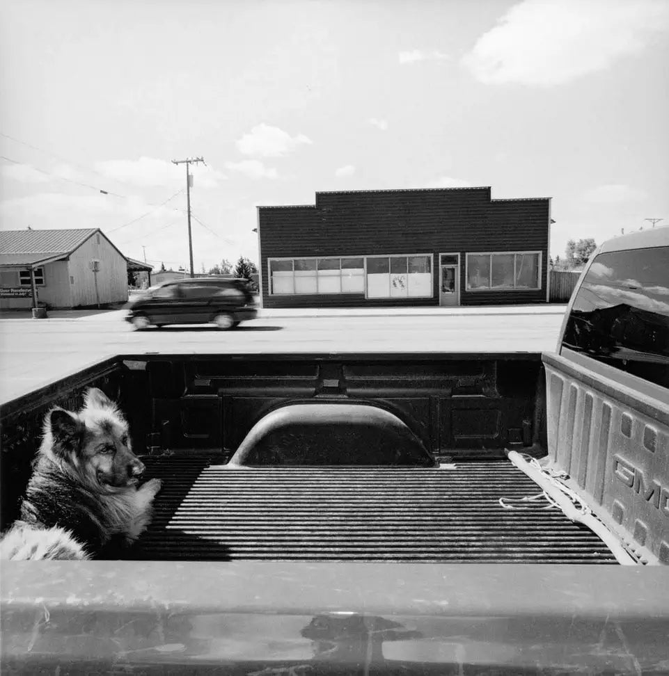 Lee Friedlander: Pickup