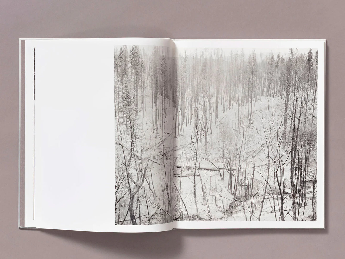 Ian Bates: The Weight of Ash
