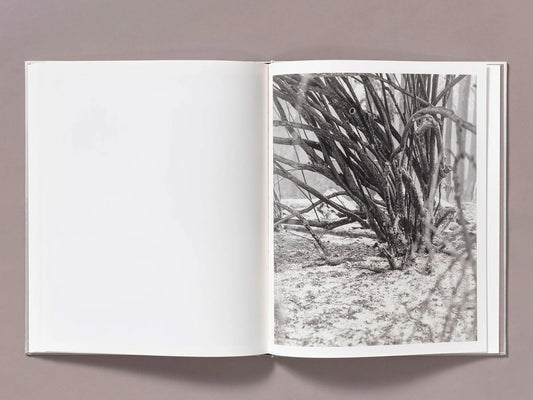 Ian Bates: The Weight of Ash