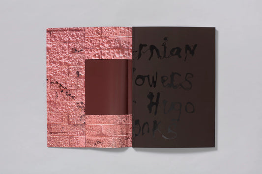 Pieter Hugo: Californian Wildflowers