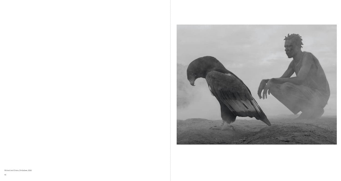 Nick Brandt: The Day May Break