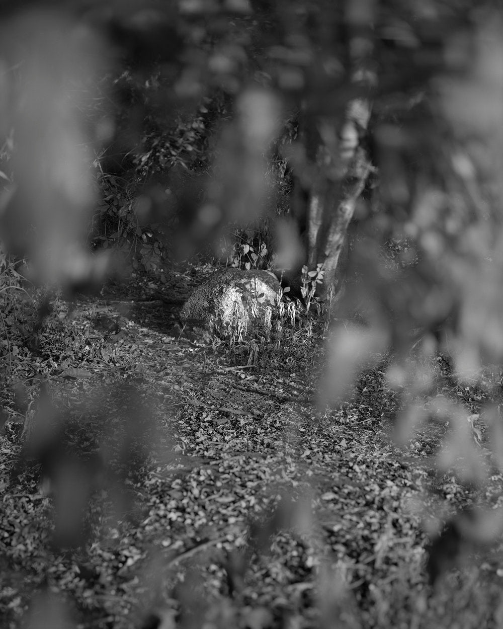 Pradip Malde : From Where Loss Comes