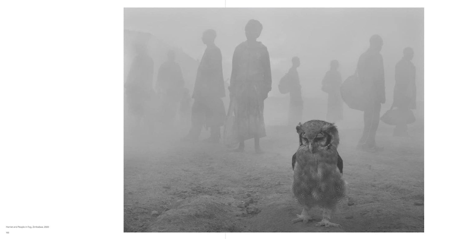 Nick Brandt: The Day May Break