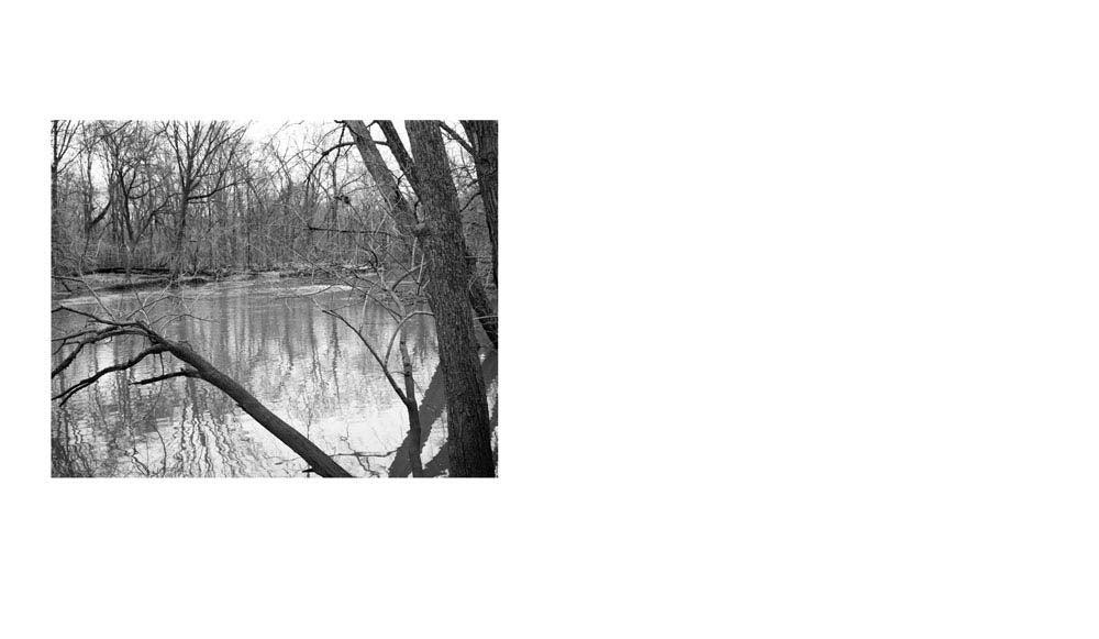 Tim Carpenter: Christmas Day, Bucks Pond