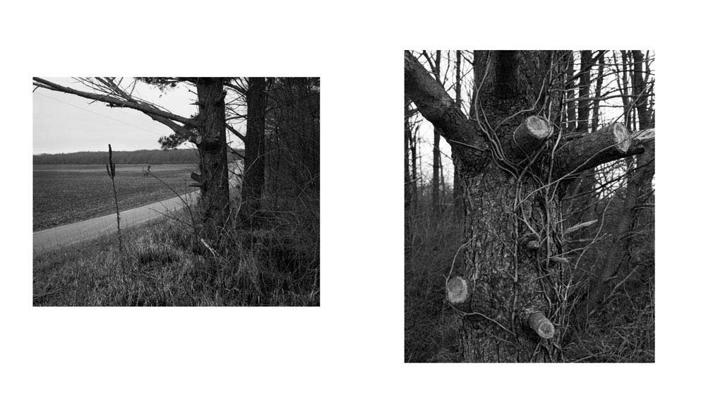 Tim Carpenter: Christmas Day, Bucks Pond