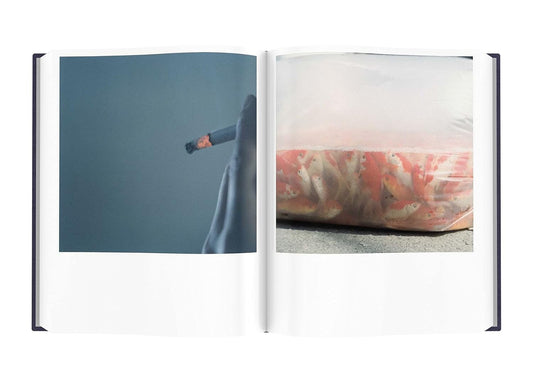 Rinko Kawauchi: Illuminance: The Tenth Anniversary Edition