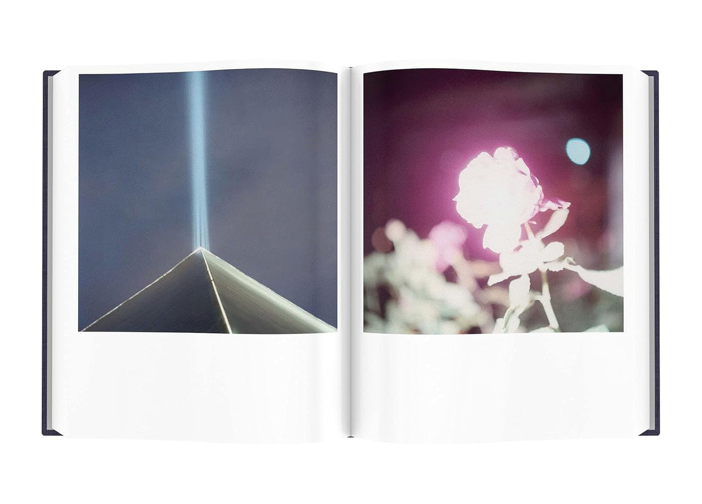Rinko Kawauchi: Illuminance: The Tenth Anniversary Edition