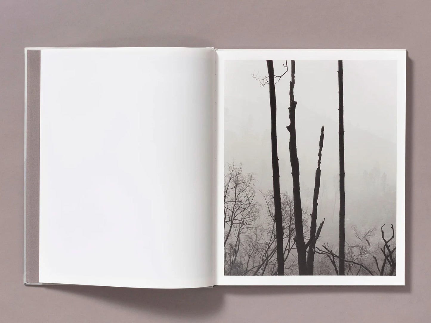 Ian Bates: The Weight of Ash