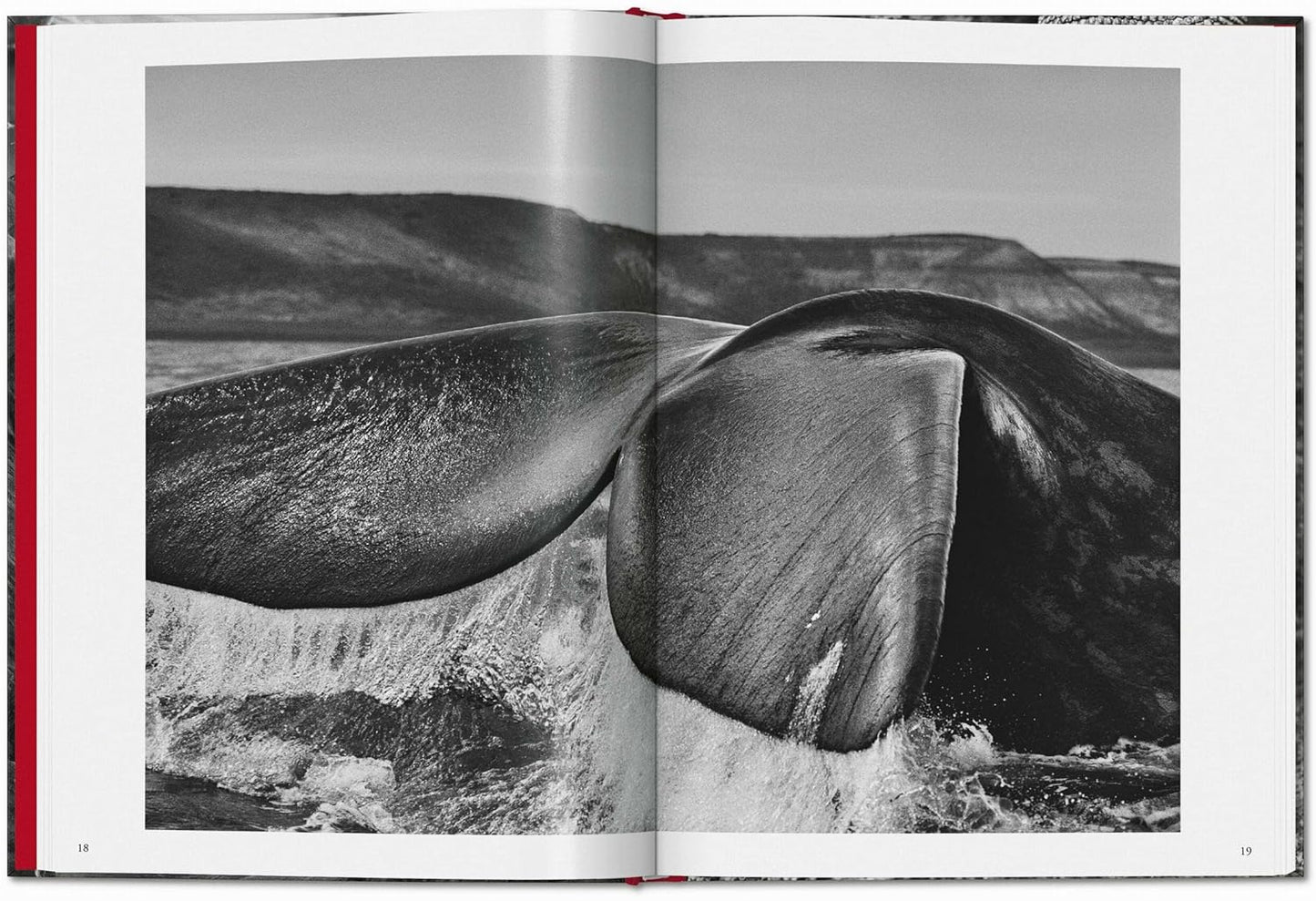 Sebastião Salgado. Genesis