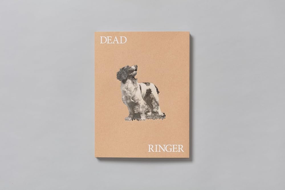 Dead Ringer cover image