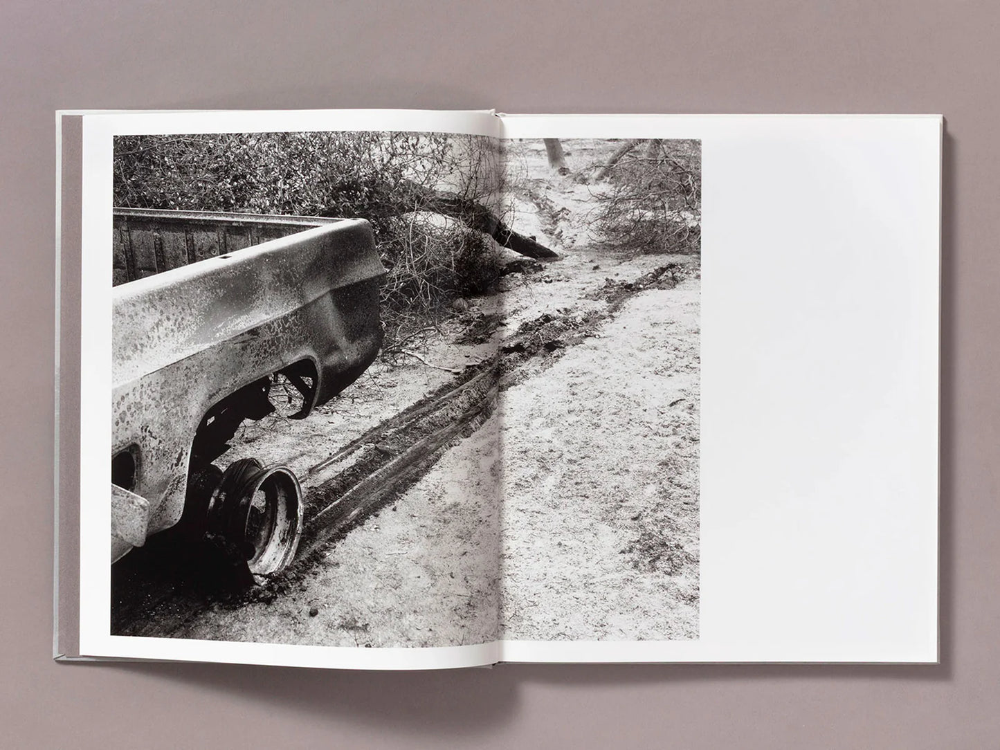 Ian Bates: The Weight of Ash