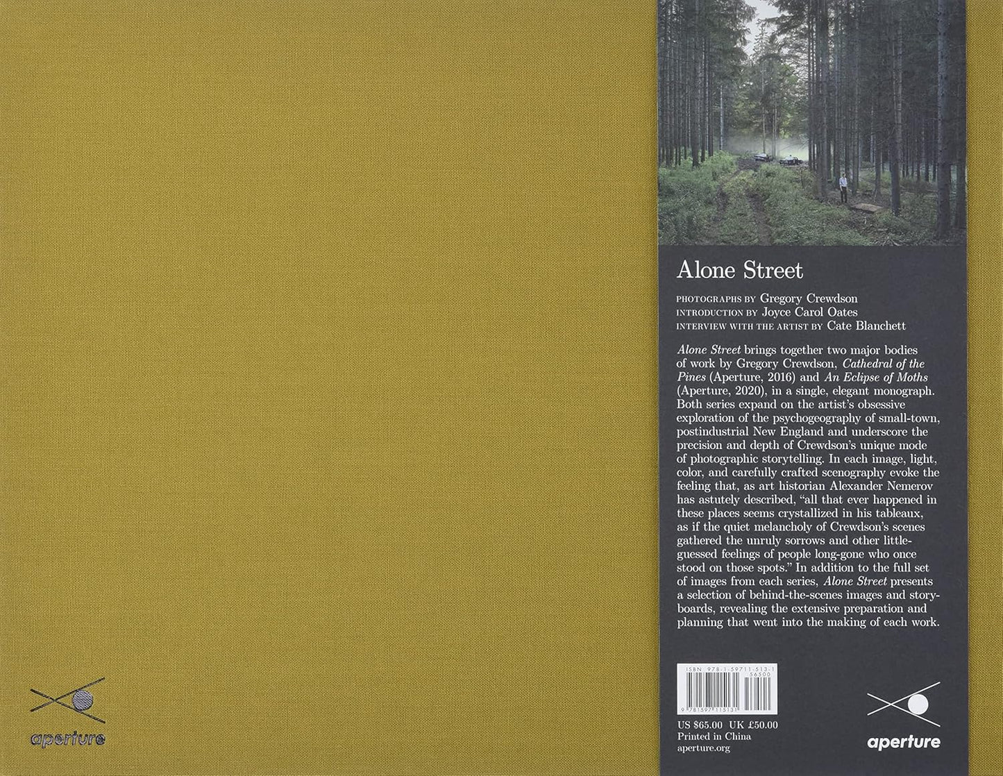 Gregory Crewdson: Alone Street