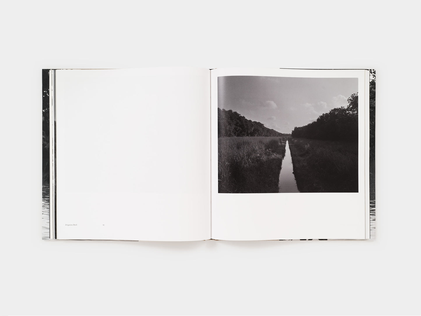Dawoud Bey: Elegy