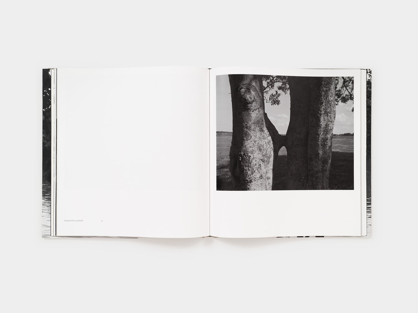 Dawoud Bey: Elegy