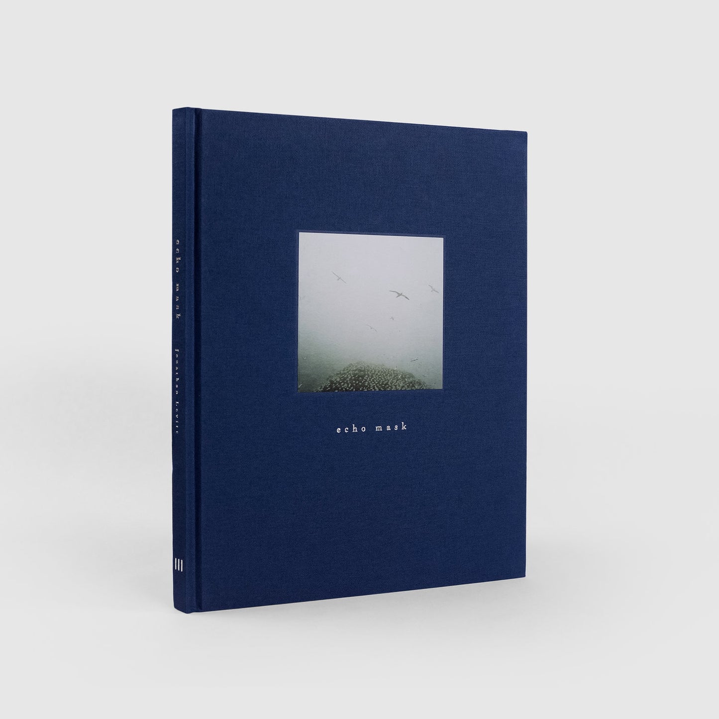 Jonathan Levitt: Echo Mask