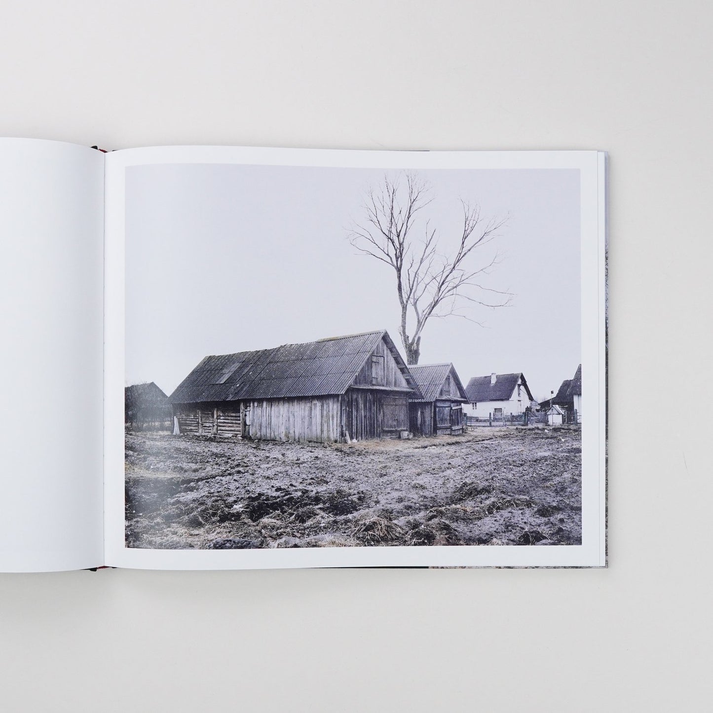 Jasper Bastian: Gandras