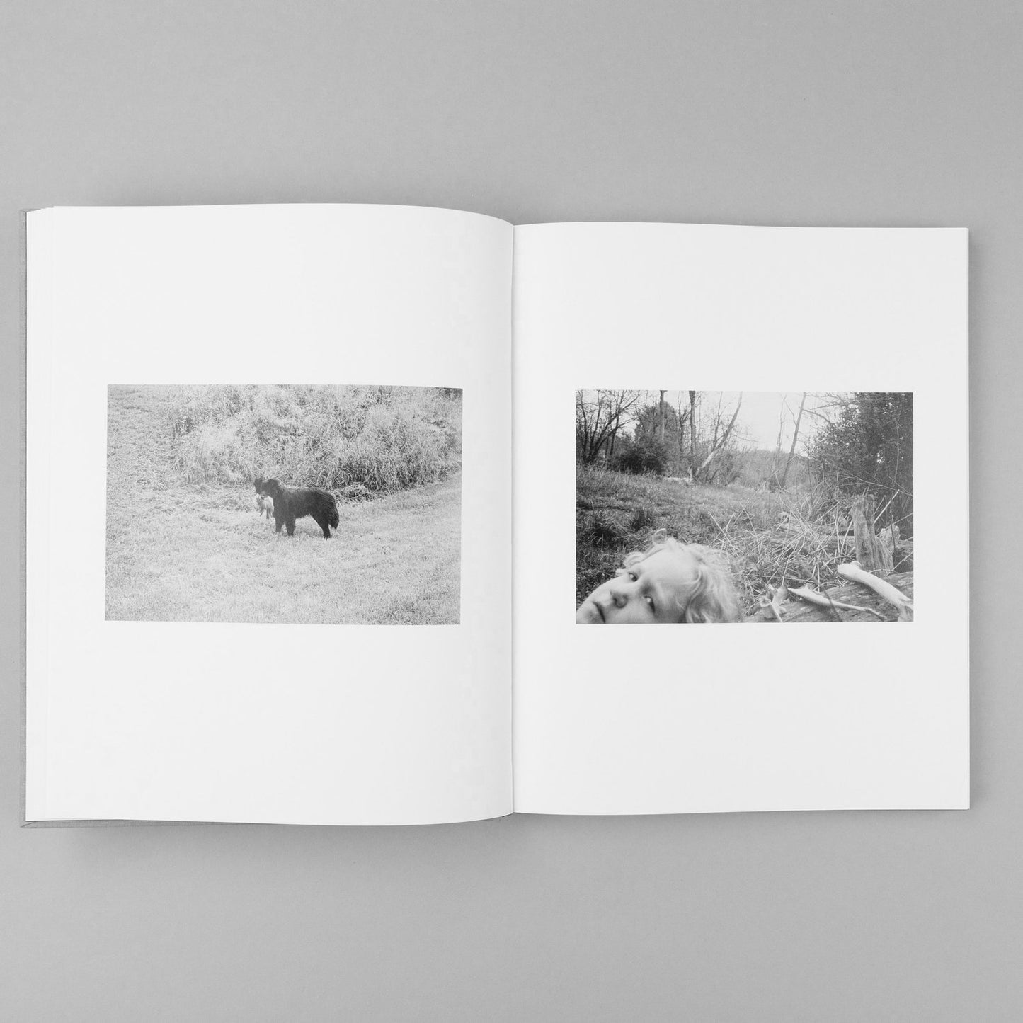 Jesse Lenz: The Seraphim