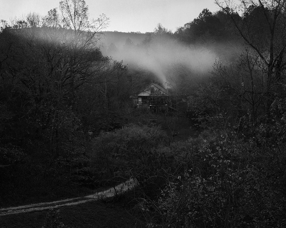 Matthew Genitempo: Jasper