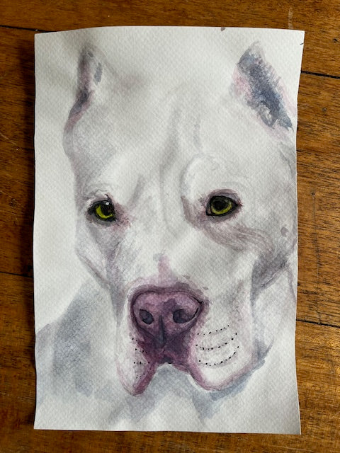 Emiko Badillo : Custom Pet Portrait