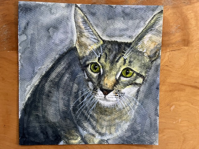 Emiko Badillo : Custom Pet Portrait