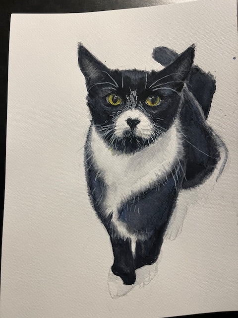 Emiko Badillo : Custom Pet Portrait