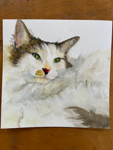 Emiko Badillo : Custom Pet Portrait