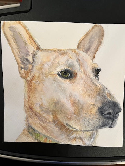 Emiko Badillo : Custom Pet Portrait