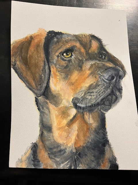 Emiko Badillo : Custom Pet Portrait