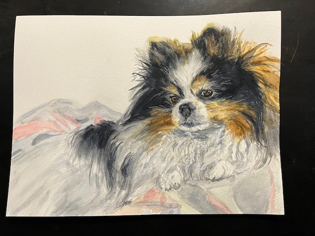 Emiko Badillo : Custom Pet Portrait