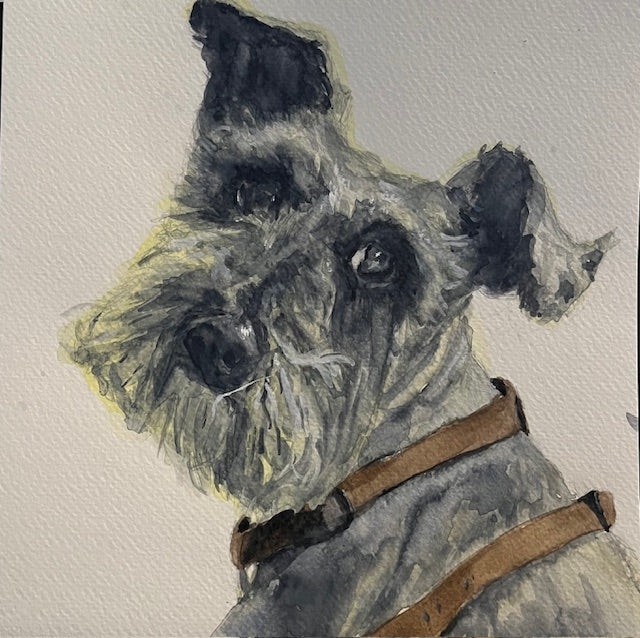 Emiko Badillo : Custom Pet Portrait