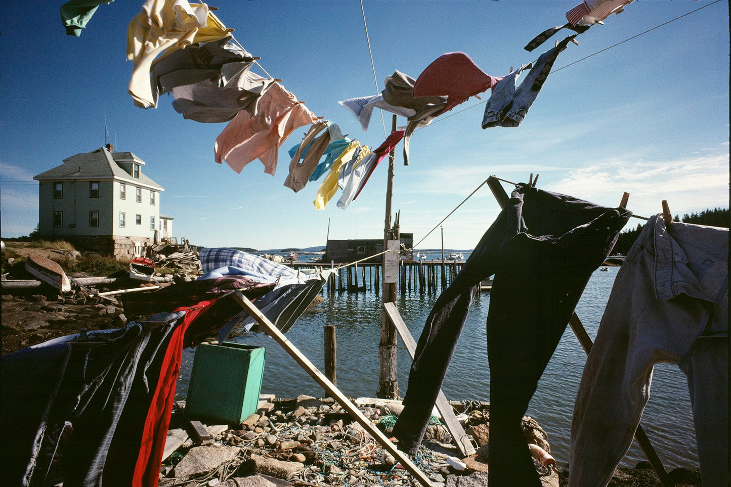 Jeff Dworsky: Sealskin