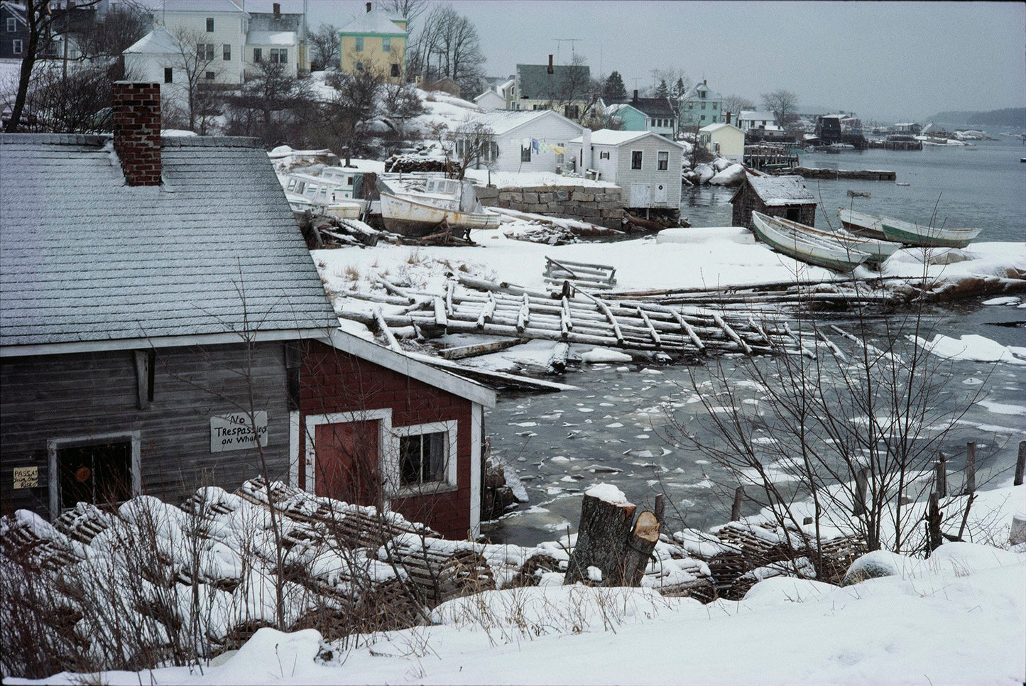 Jeff Dworsky: Sealskin