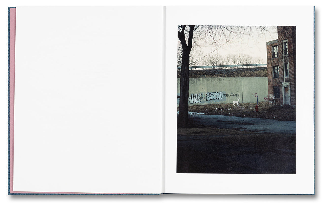 Gregory Halpern: King, Queen, Knave