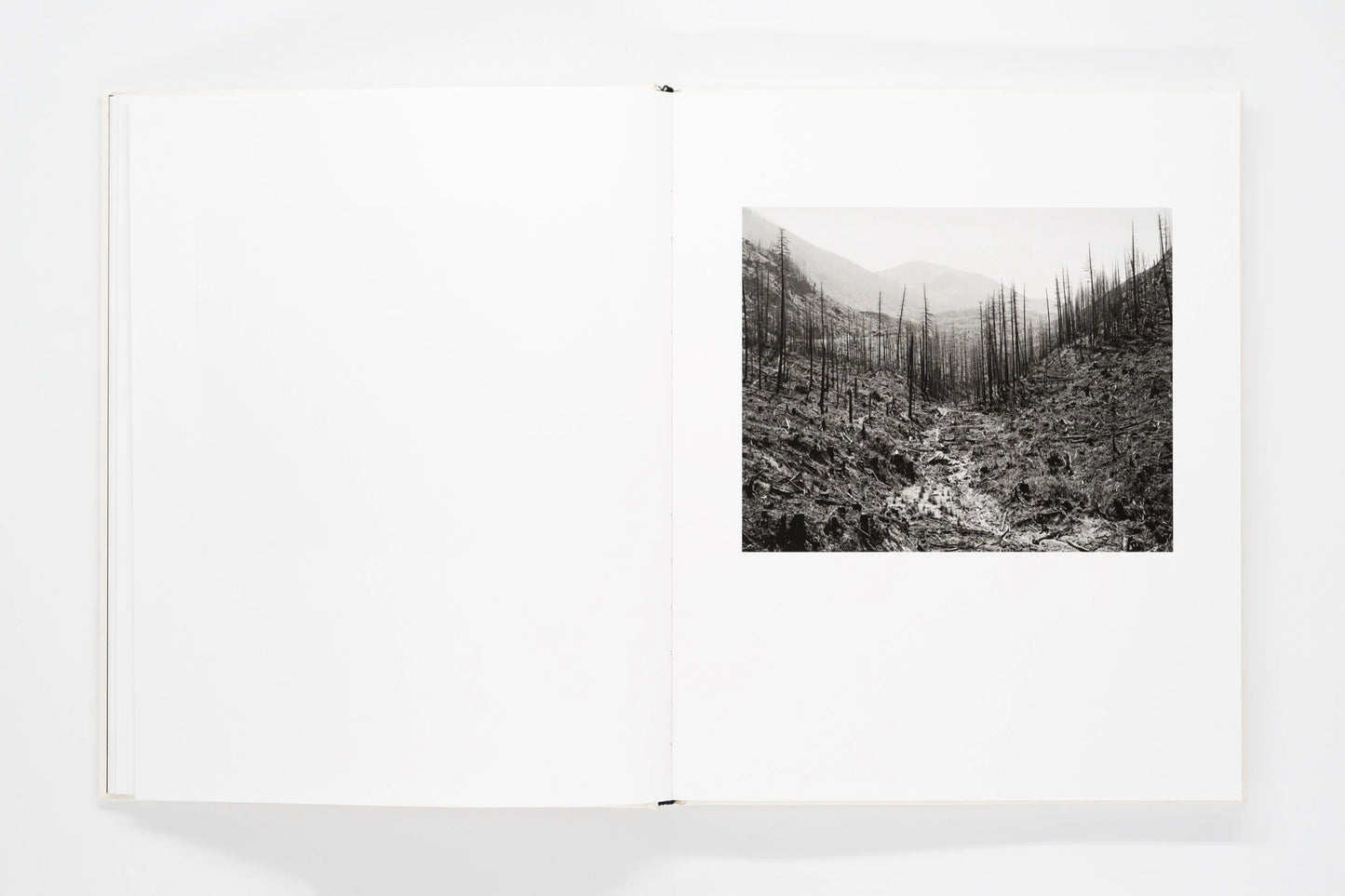 Mimi Plumb: Landfall
