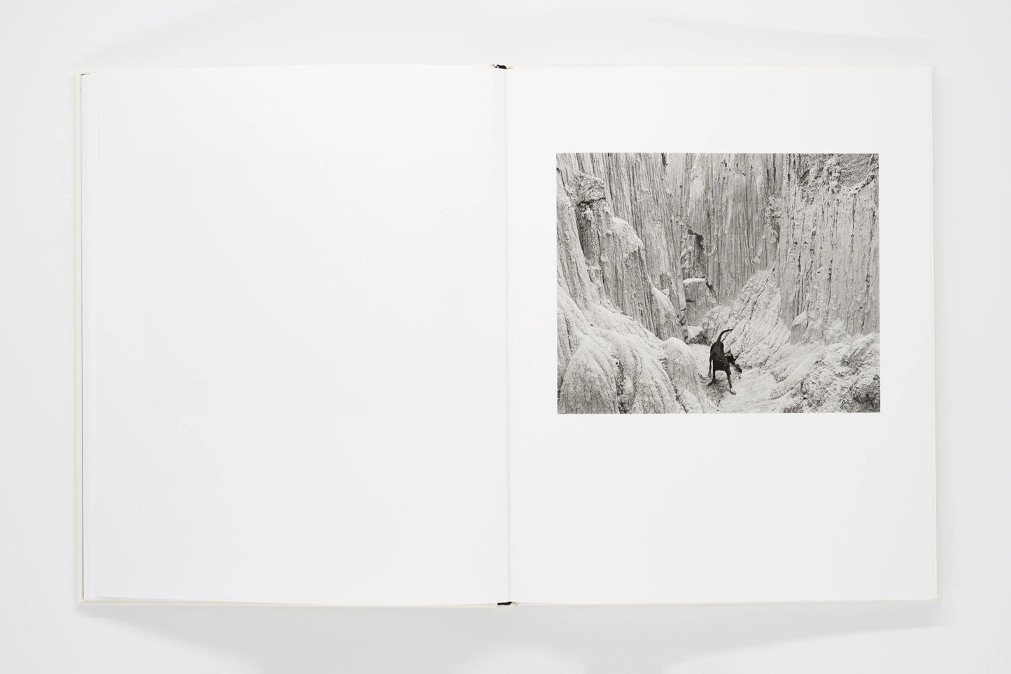 Mimi Plumb: Landfall