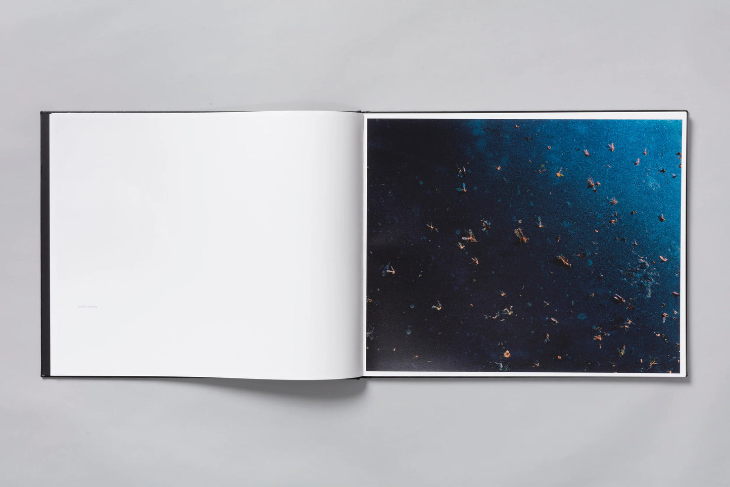 Phil Jung: Windscreen