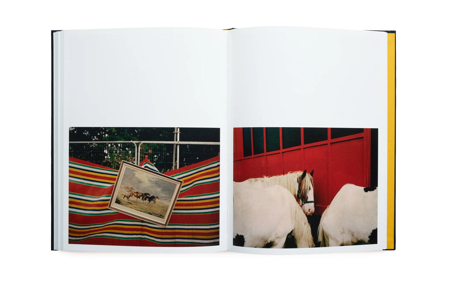 Sam Wright: Pillar to Post