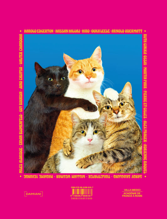 Chromotherapia: Feel-Good Color Photography