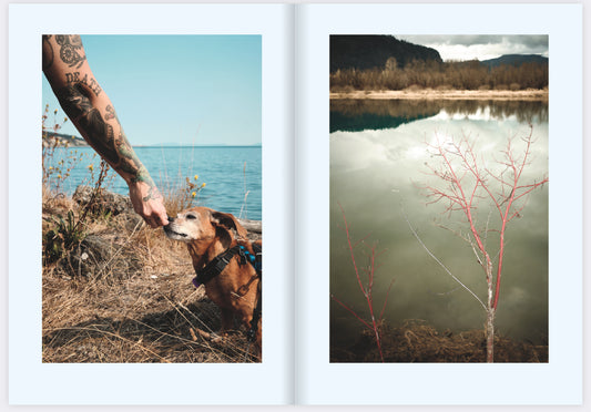 Chad Miller: Water Wings zine