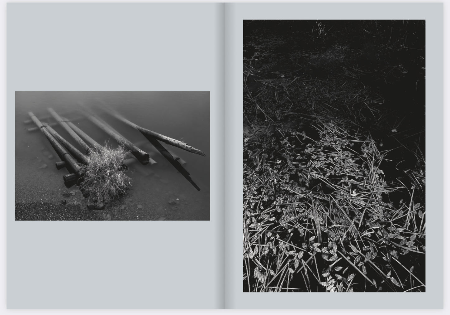 Chad Miller: Water Wings zine