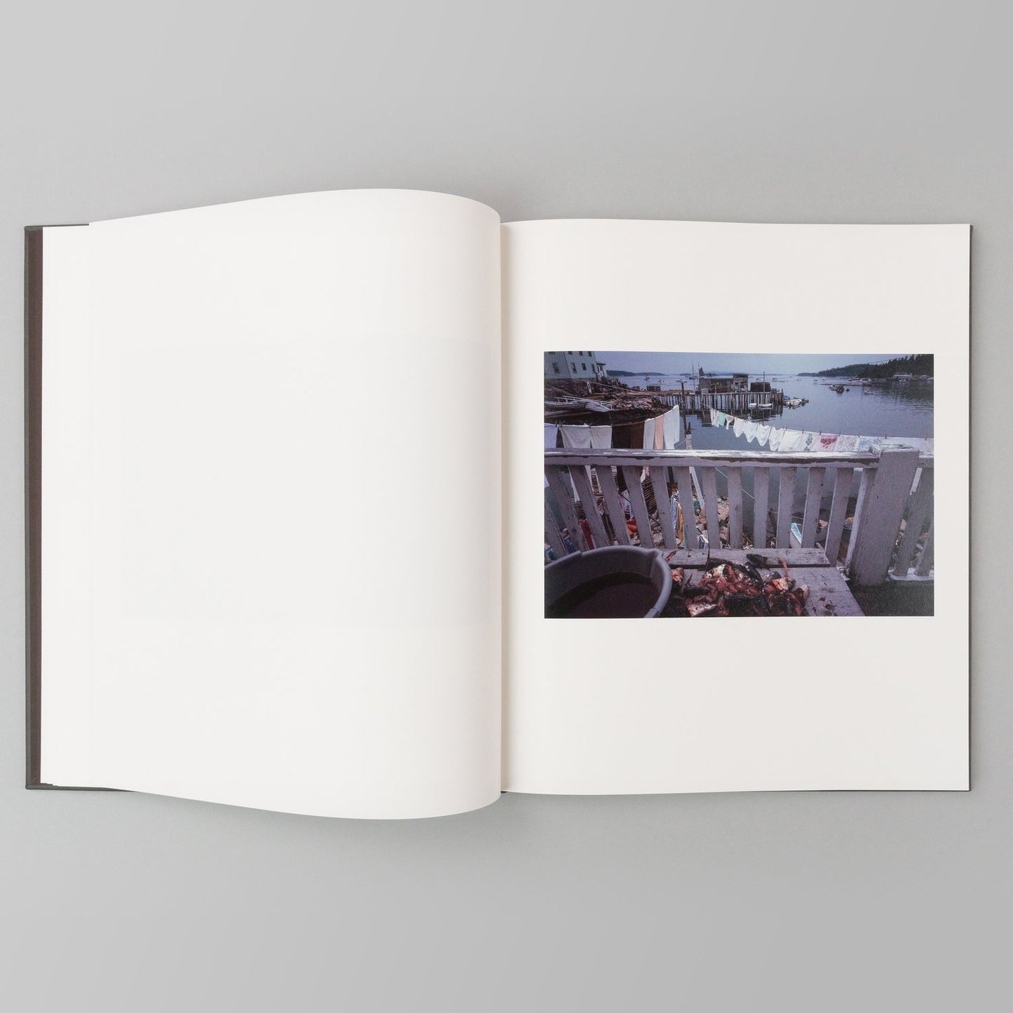 Jeff Dworsky: Sealskin