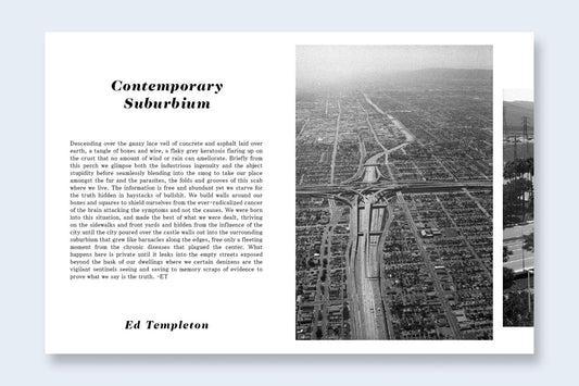 Ed & Deanna Templeton: Contemporary Suburbium