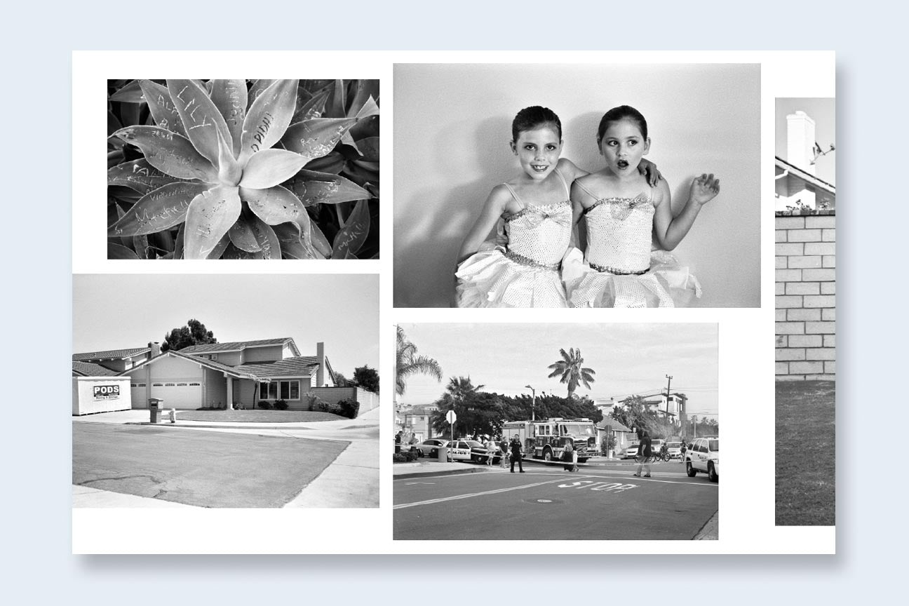 Ed & Deanna Templeton: Contemporary Suburbium