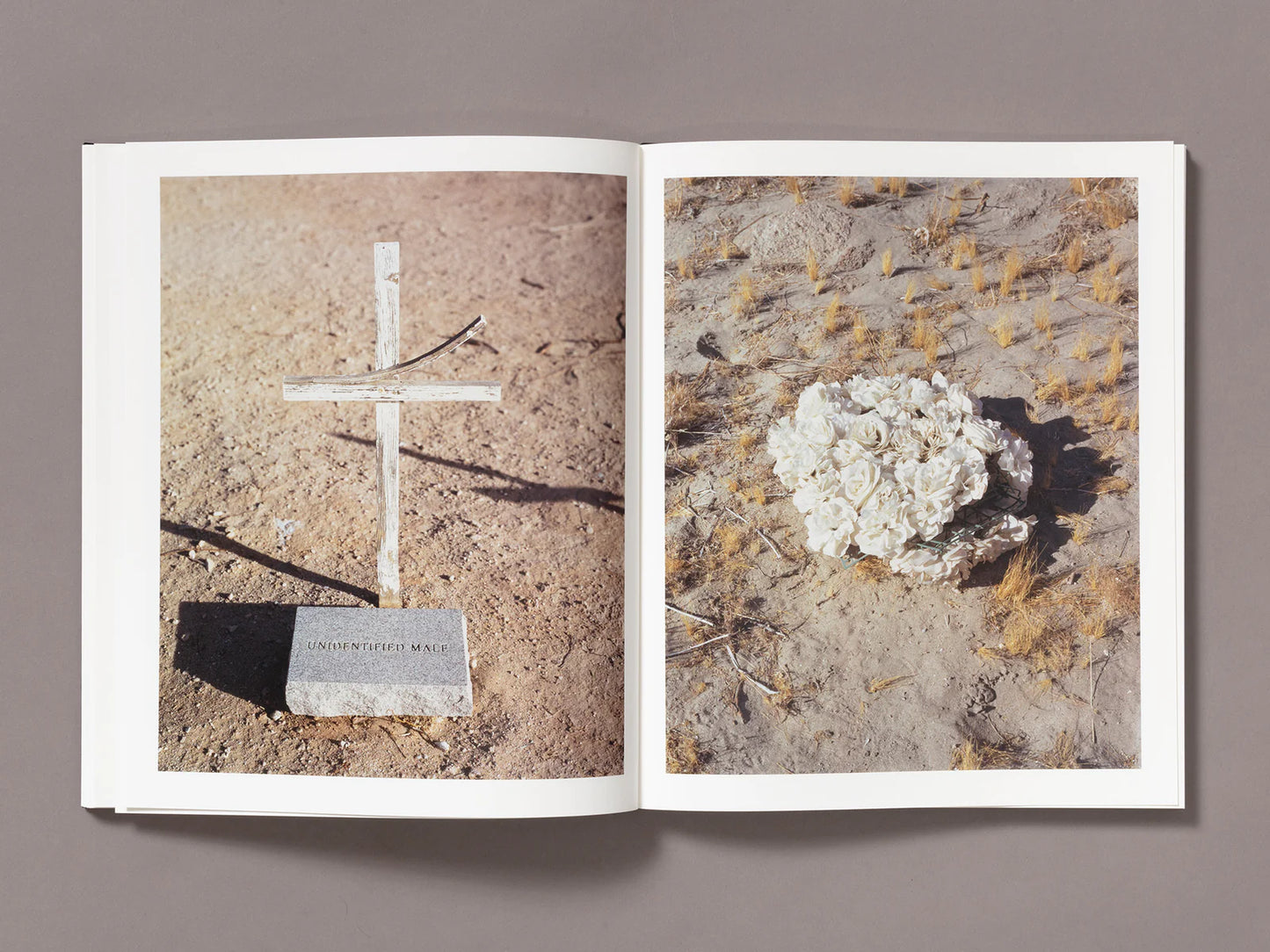 Tracy L Chandler: A Poor Sort of Memory