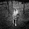 Anna Arendt: Vanishing