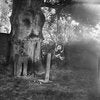 Anna Arendt: Vanishing