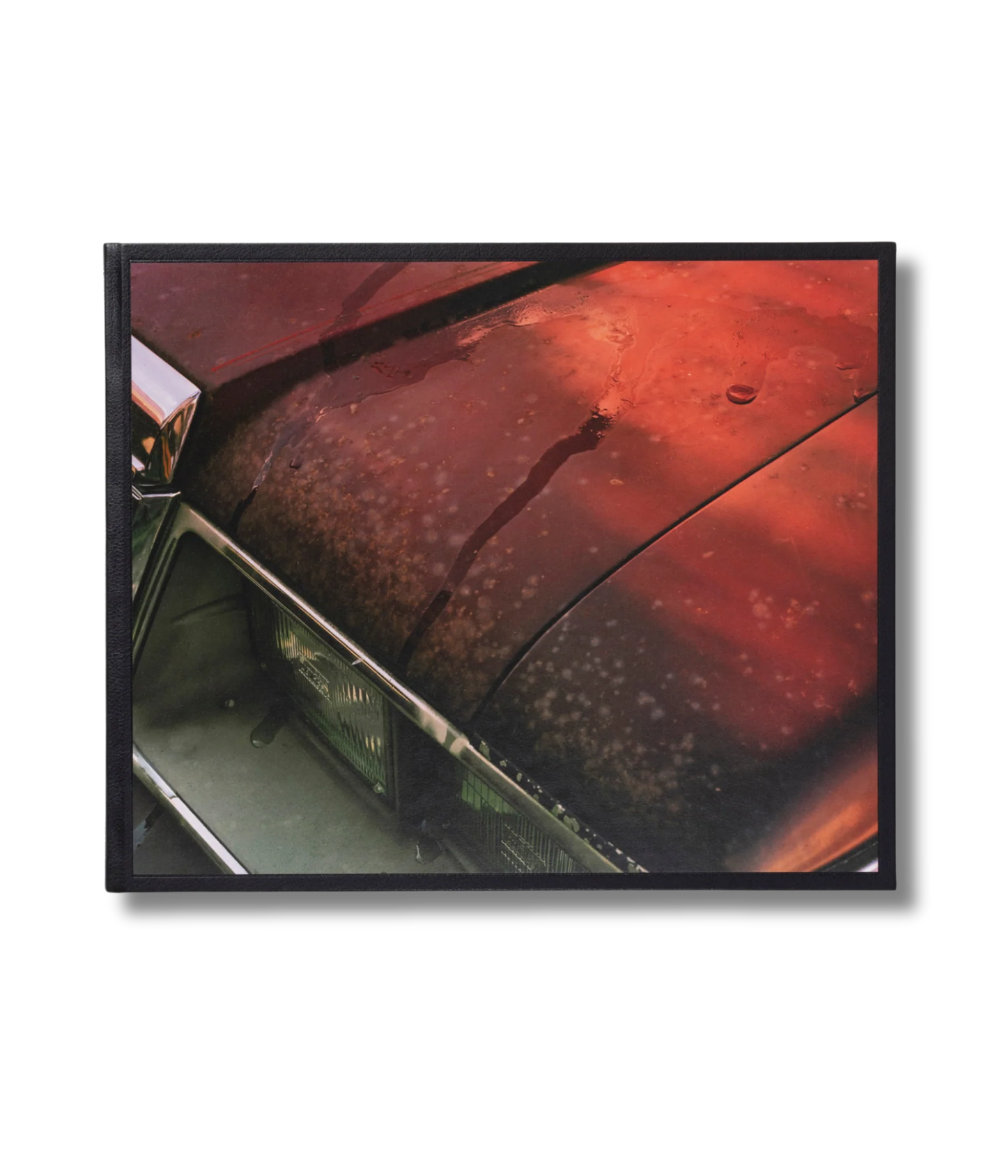 Phil Jung: Windscreen